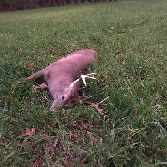 Meet your Posher, Ben - Picture 12 of 13